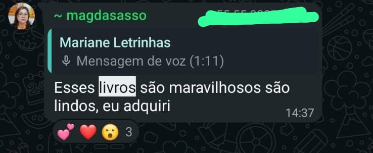 Depoimento de professora, captura de conversa 3